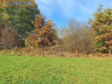 Działka Sprzedaż Stare Polesie